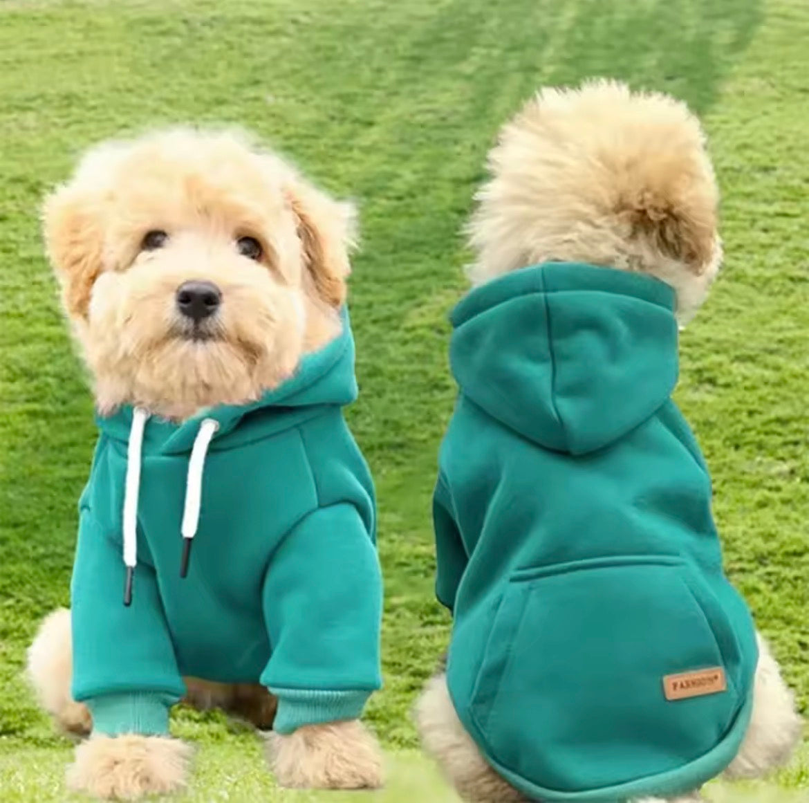 Pet Hoodie