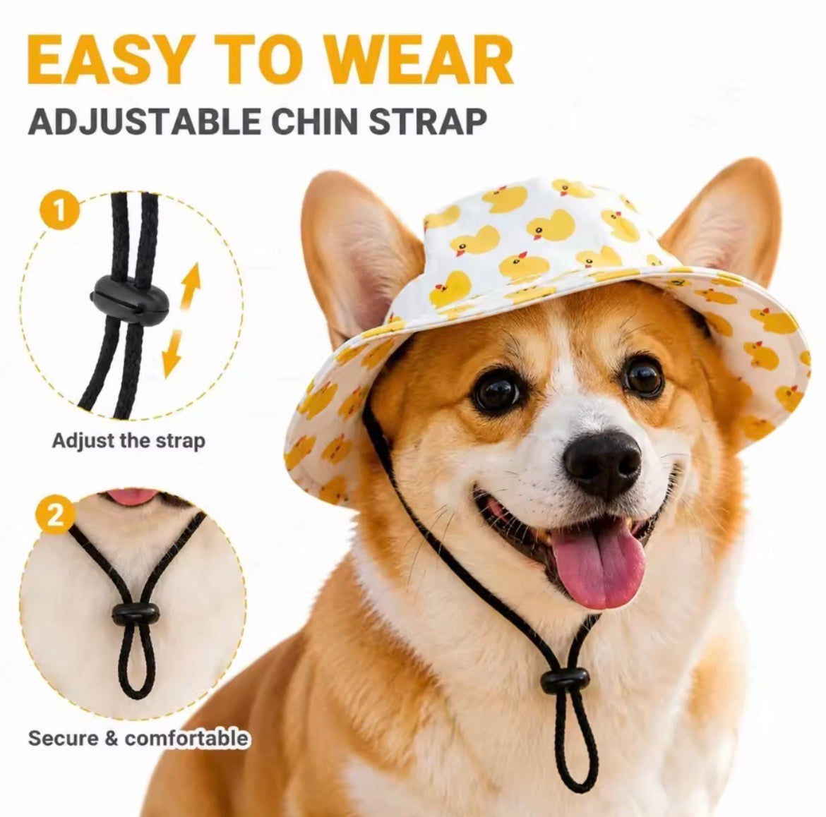 Pet Hat