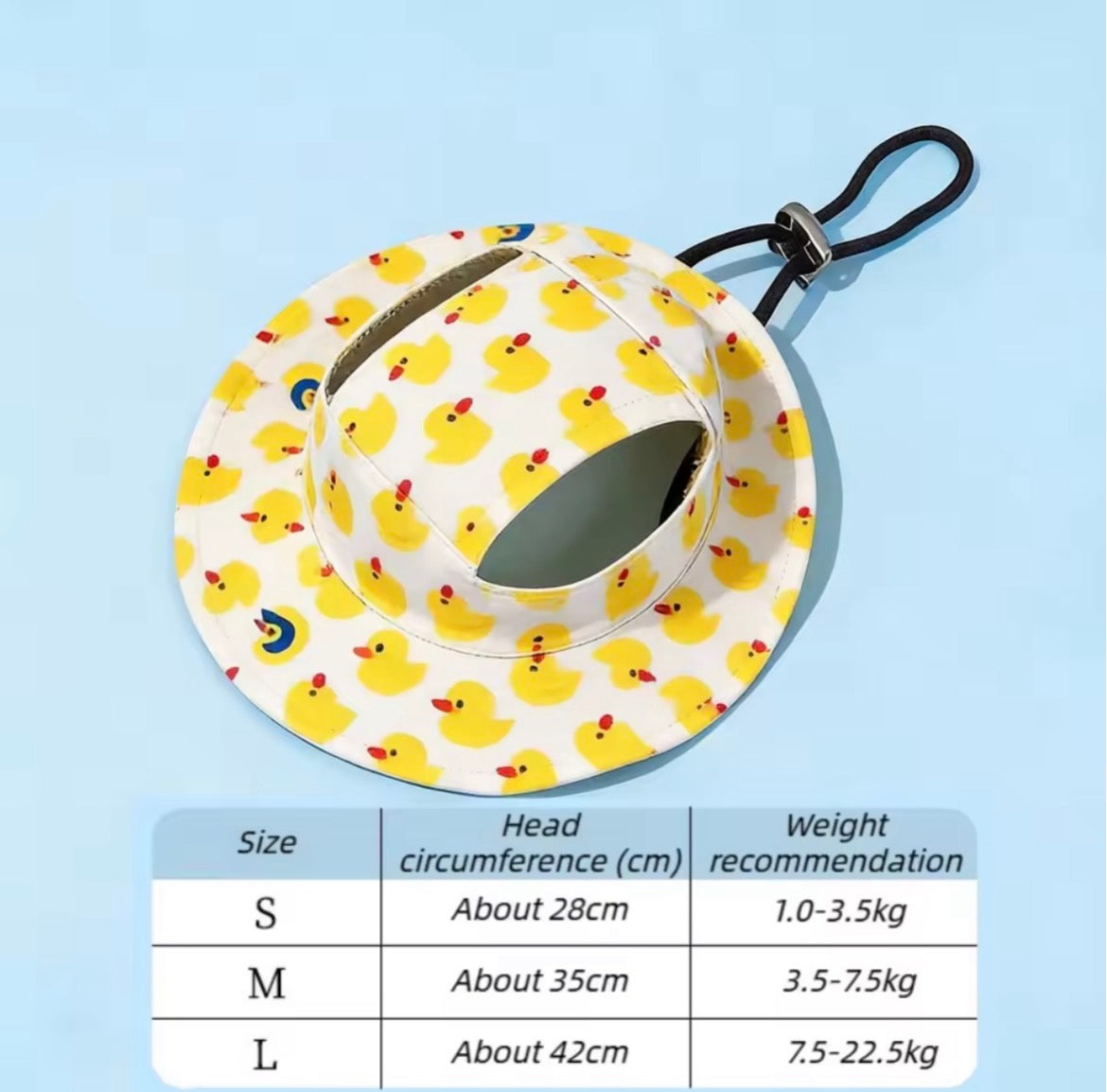 Pet Hat